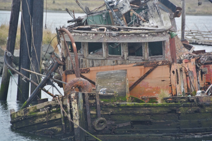 The Mary D. Hume Shipwreck